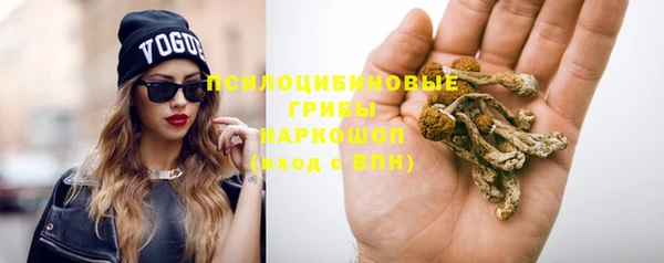 МДПВ Елабуга