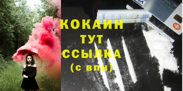 МДПВ Елабуга