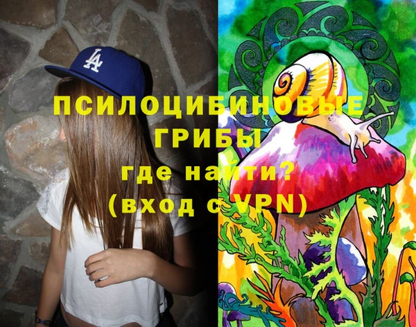 МДПВ Елабуга