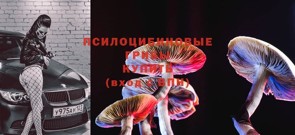 герыч Елизово