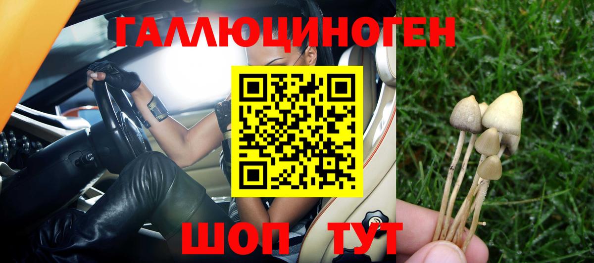 сколько стоит  Псилоцибиновые грибы мицелий  Вход с VPN  Димитровград 
